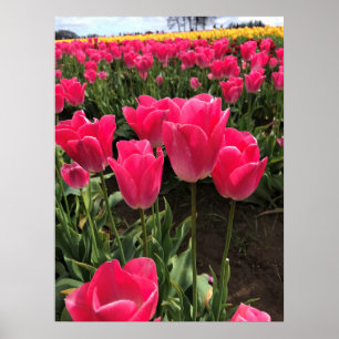 Prisa soppor, Oregon Poster