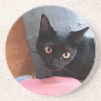 Priscilla katt underlägg