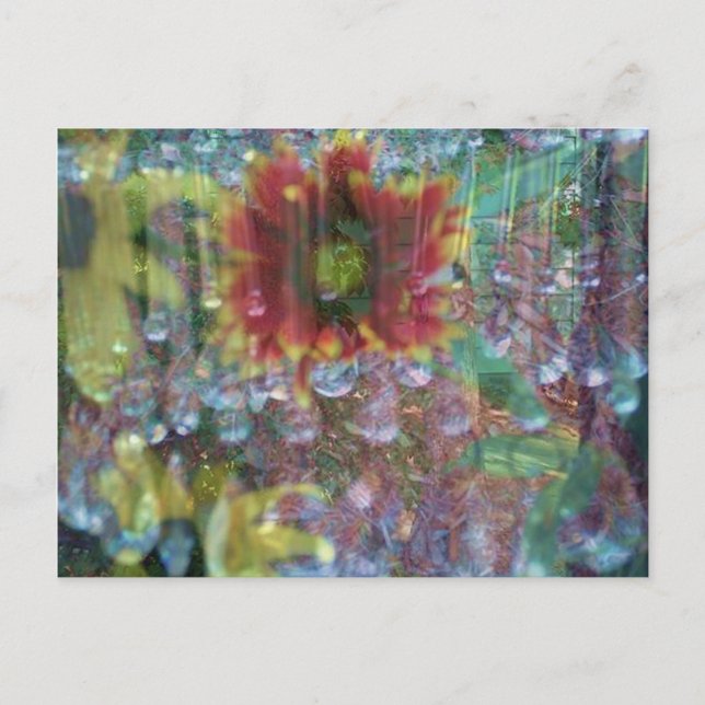 Prism blommor vykort (Framsida)