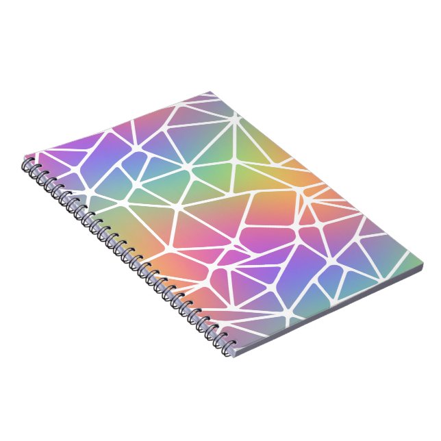 prism synapse nät - regnbågswebb : anteckningsbok (Högra Sidan)