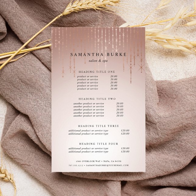  prissättning och service flygblad (Skapare uppladdad)