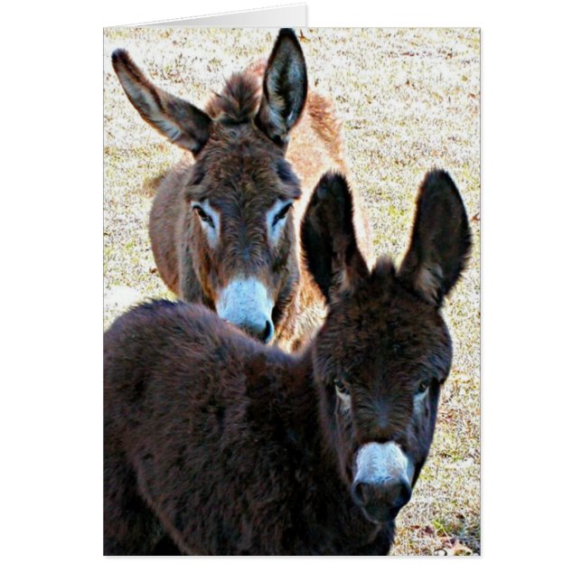 Prissy & mammor hälsningskort (Framsidan)