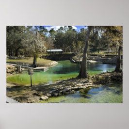 Pristine Vår i vinterutskrift Poster