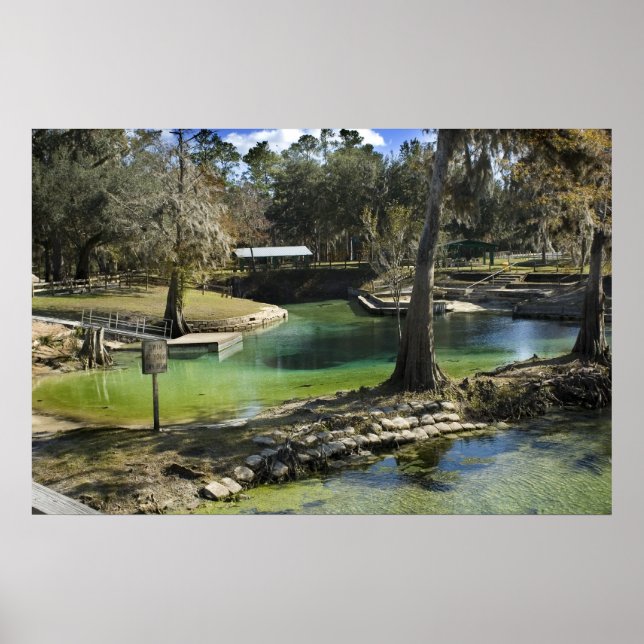 Pristine Vår i vinterutskrift Poster (Framsidan)