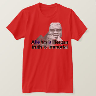 Prisvärd storhetsoffert t shirt