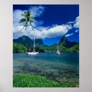 Privata yachter förankrade i Opunohu Bay på Poster