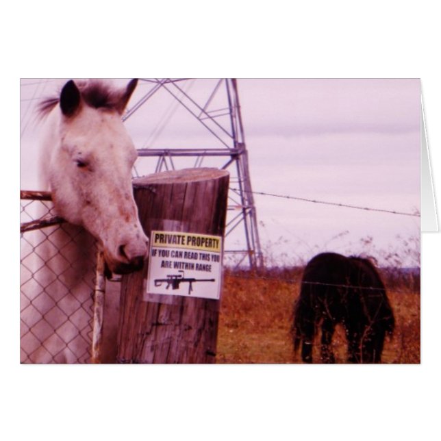 Private Egendom lavender Horse Hälsningskort (Framsidan Horizontal)