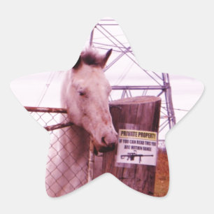 Private Egendom lavender Horse Stjärnformat Klistermärke