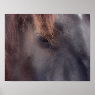Private Thoughts Horse Öga Poster