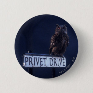 Privet Drive Knapp