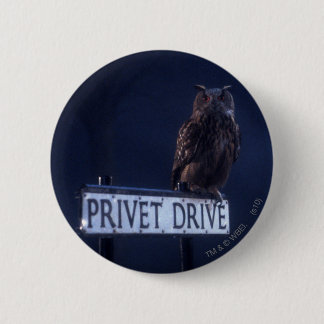 Privet Drive Knapp