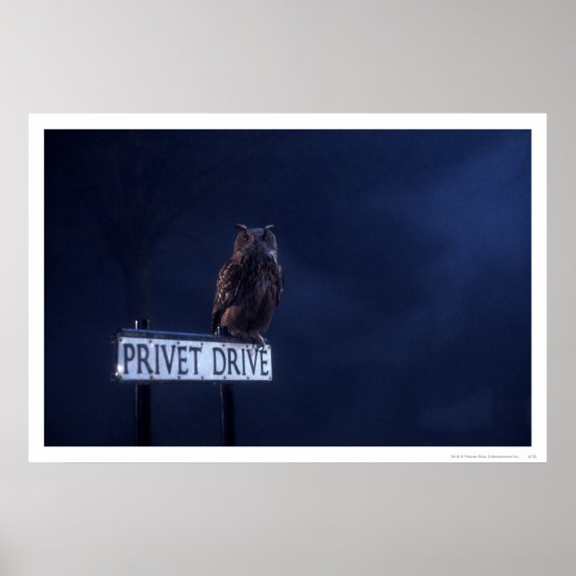 Privet Drive Poster (Framsidan)