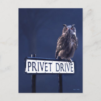 Privet Drive Vykort