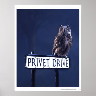 Privet-enhet Poster