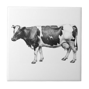Prizewinning Dairy Cow Kakelplatta