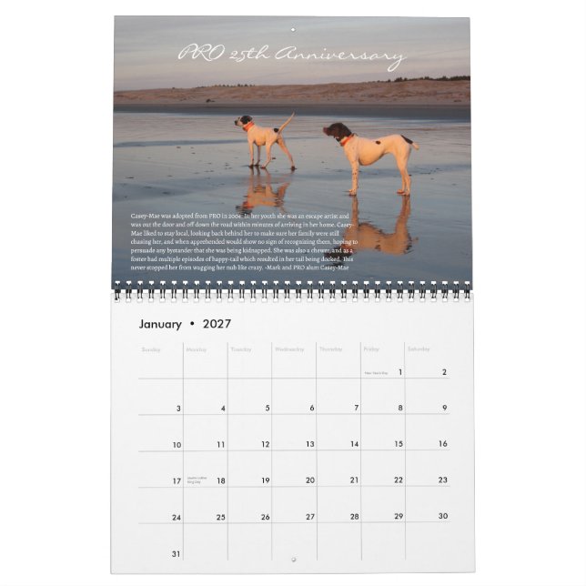 PRO 2025 25-årskalender Kalender (Jan 2027)