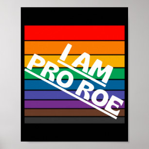 pro 6 poster
