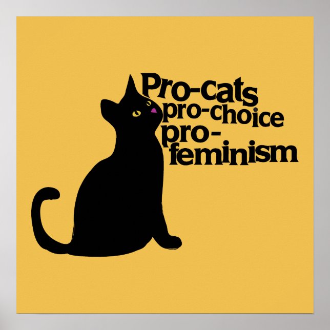 pro-cats pro-choice pro-feminism poster (Framsidan)