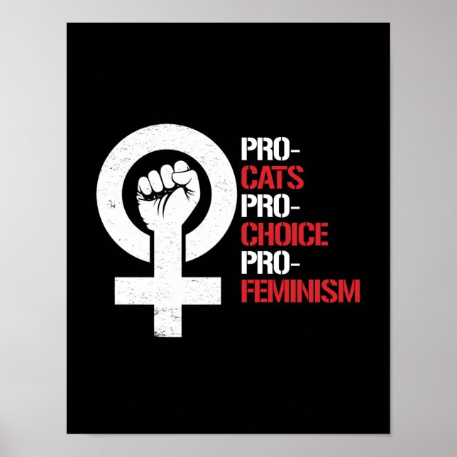Pro-Cats Pro-Choice Pro-Feminism - vit - Poster (Framsidan)