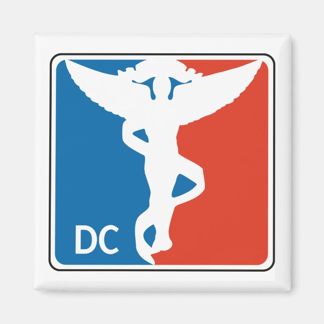 Pro Chiropractor Magnet (Framsidan)