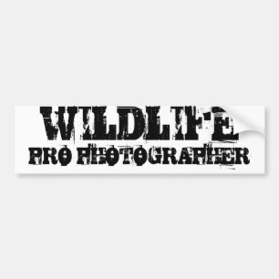 PRO FOTOGRAFbildekal för DJURLIV Bildekal