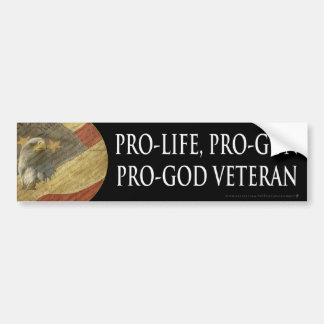 Pro-Liv Pro-Liv, Pro-Vapen veteran Bildekal