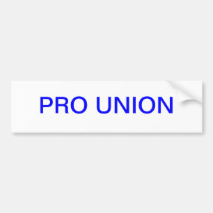 PRO UNION BILDEKAL