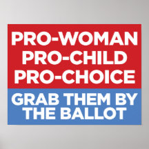 Pro-Woman Pro-Child Pro-Choice 16 x 12 Windows Pos