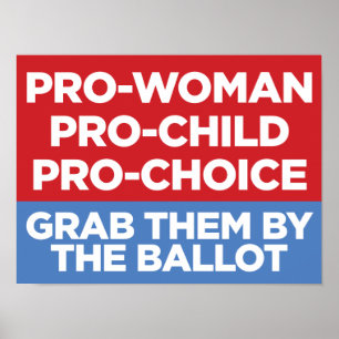 Pro-Woman Pro-Child Pro-Choice 16 x 12 Windows Pos Poster