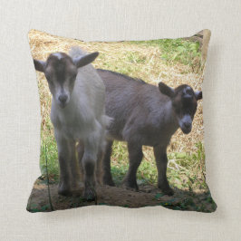 Problem med Dubbla! Kudde