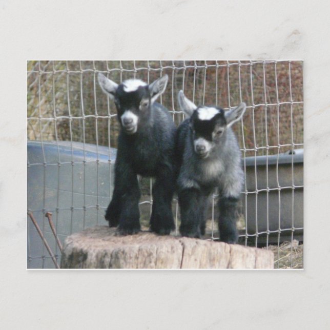 Problem med dubbla vykort (Framsida)