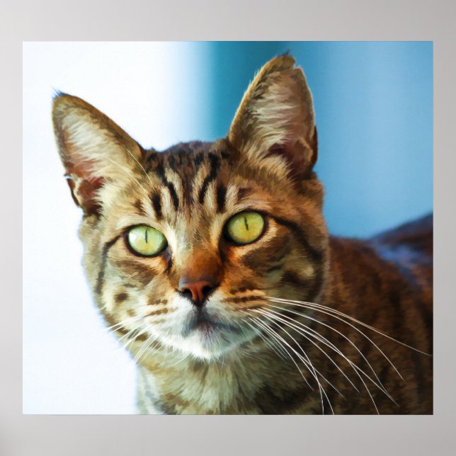 Problem Poster (Framsidan)