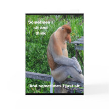 Proboscis Monkey - Grattis på födelsedagen