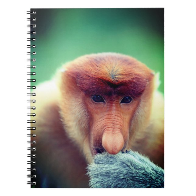 Proboscis Monkey i Borneo. Anteckningsbok (Framsidan)