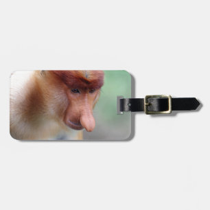Proboscis monkey Labuk Bay Borneo Bagagebricka
