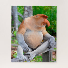 Proboscis Monkey. Pussel