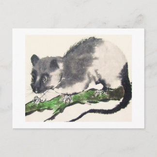 Procentsats nr 09 * Råtta * Ratten-Postkarten * Rå Vykort