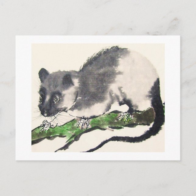 Procentsats nr 09 * Råtta * Ratten-Postkarten * Rå Vykort (Framsida)