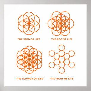 Processaa för skapande poster