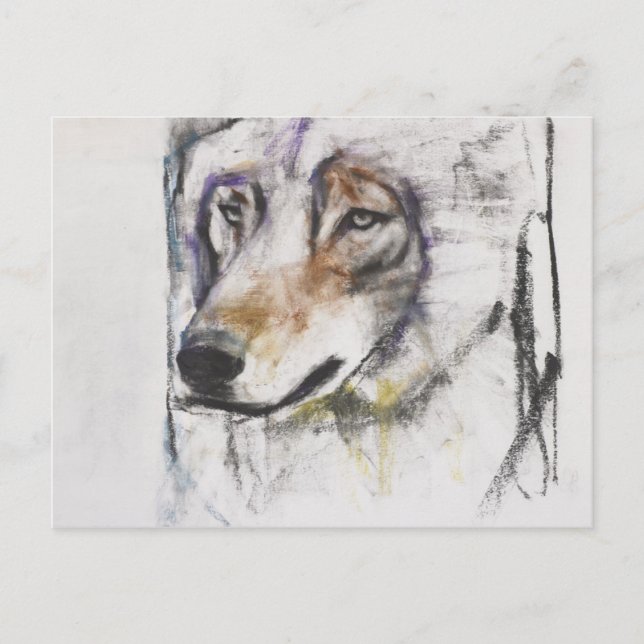 Processo Al Lupo Vykort (Framsida)