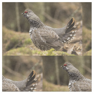 Prod Grouse Tyg