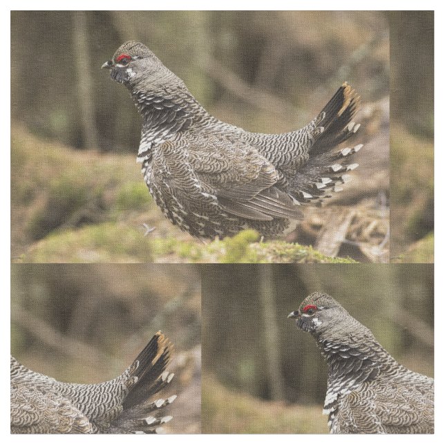 Prod Grouse Tyg (Närbild)