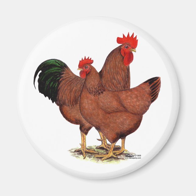 Production Red Chickens Magnet (Framsidan)