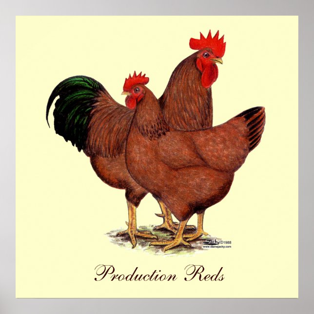 Production Red Chickens Poster (Framsidan)