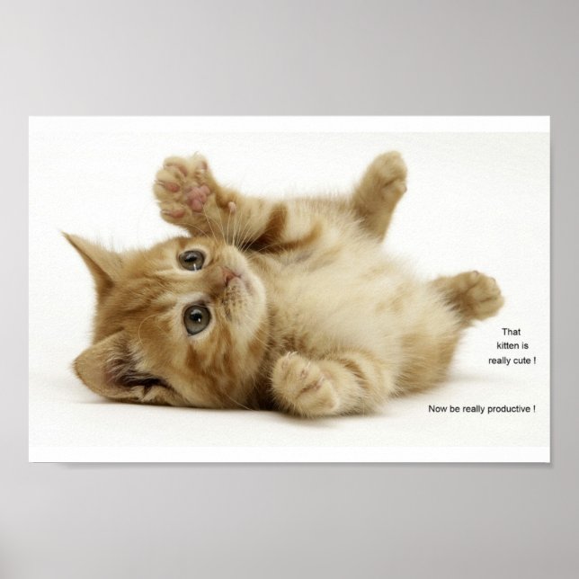 Productivity Kitten (Kitteh) Poster (Framsidan)