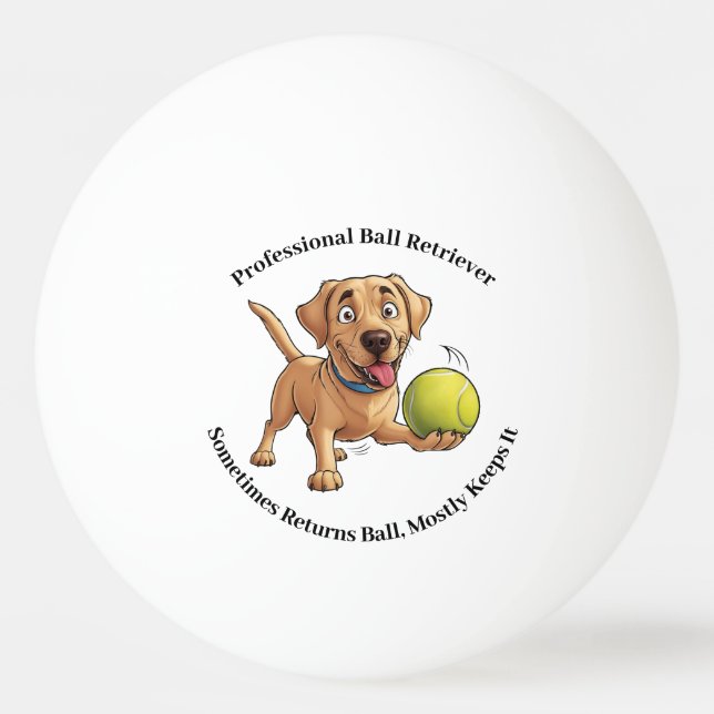 Professionell Boll Retriever Ping Pong Boll (Framsidan)