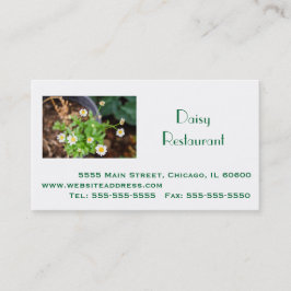 Professionell Business, Adress, telefon, webbplats Visitkort