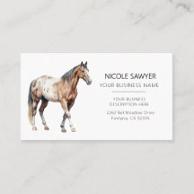 Professionell Equestrian Personlig Equine Horse