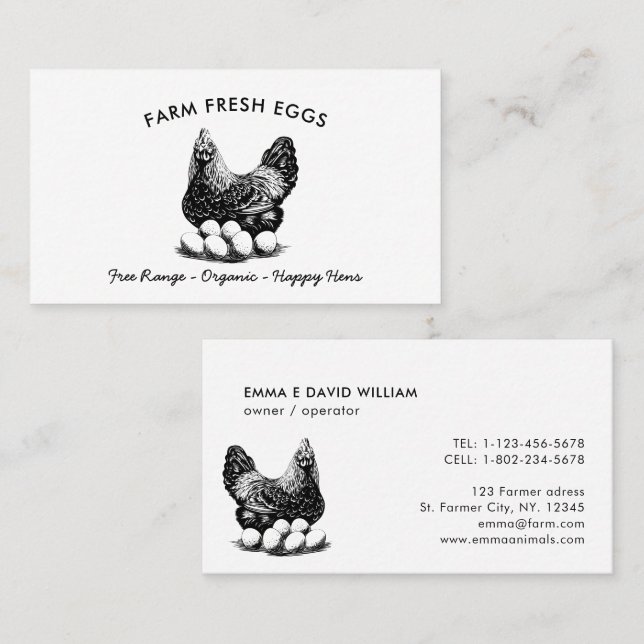 Professionell Farm Fresh Eggs Chicken Egg Visitkort (Fram/baksida)