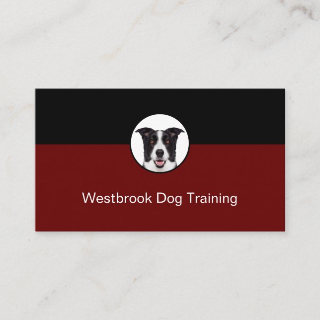 Professionell Hund Training Service Modern Visitkort (Framsida)